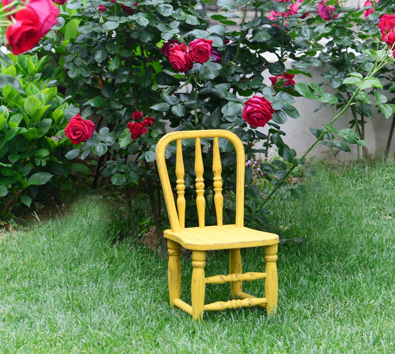 AHŞAP TORNALI SANDALYE SARI